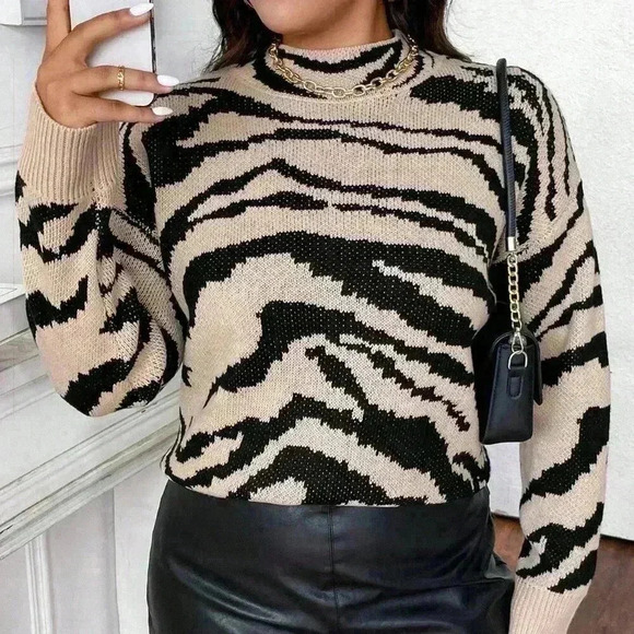 Multicolor Casual Women's Plus Size Long Sleeve Zebra Stripe Pullover Sweater - Picture 3 of 6